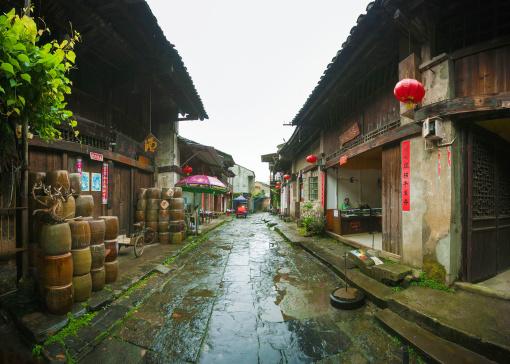 漂亮鹦鹉救援